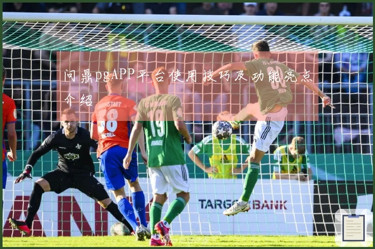 问鼎pgAPP平台使用技巧及功能亮点介绍