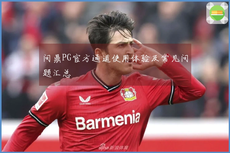 问鼎PG官方通道使用体验及常见问题汇总