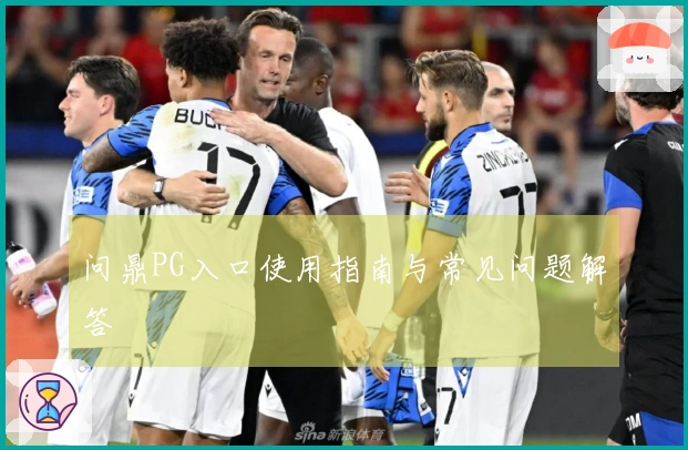 问鼎PG入口使用指南与常见问题解答