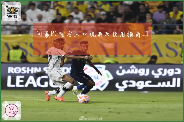 问鼎PG官方入口说明及使用指南_1