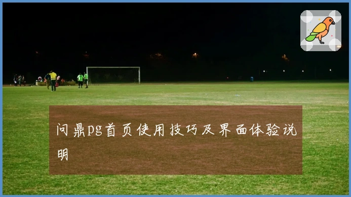 问鼎pg首页使用技巧及界面体验说明