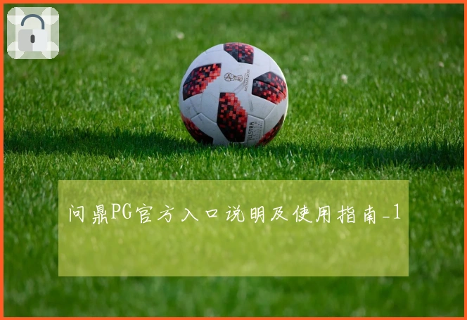 问鼎PG官方入口说明及使用指南_1